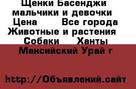 Щенки Басенджи ,мальчики и девочки › Цена ­ 1 - Все города Животные и растения » Собаки   . Ханты-Мансийский,Урай г.